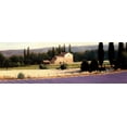 thumbnail image 2 of Wiens, James 24x11 Gold Ornate Wood Framed with Double Matting Museum Art Print Titled - Lavender Fields Panel II Crop, 2 of 4