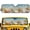 Beach Seashell Pattern, variant on Pzuqiu Keep Car Interior Cooler Off-Road Sun Visor for Off-road Interior Beach, Foldable Keep Vehicle Cool Off-Road Automobile Foldable Sun Shade, Frog Road Trip