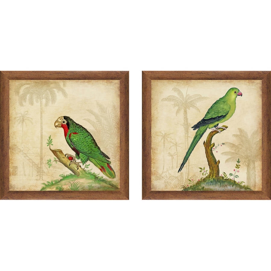 Tropical Birds 14" x 14" Wall Art