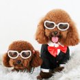 thumbnail image 1 of PERROS Nuevas Gafas de Mascotas Gafas de Sol Pequeños Perros anti-fog anti-viento gafas ocular Protector impermeable sol gafas de seguridad de protección ultraviolina, 1 of 7