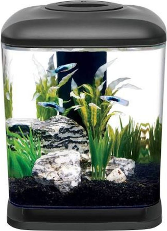 Aqueon [Aquarium, Glass & Acrylic Aquariums] Aqueon Mini Cube LED
