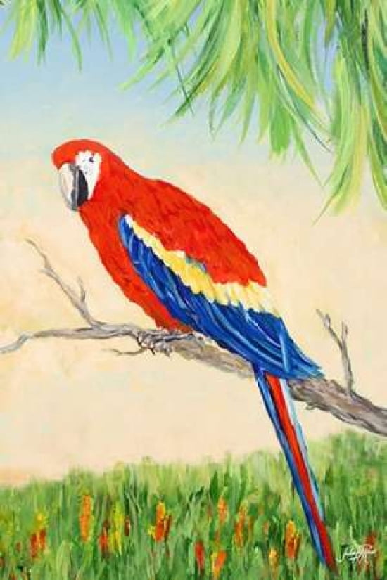Tropic Bird In Para