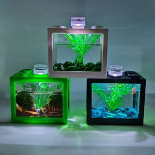 Walmart fish aquarium supplies 2025