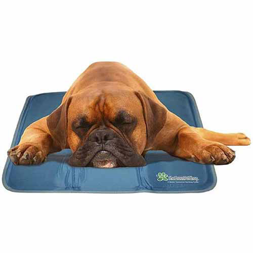 green pet cooling mat