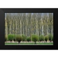 thumbnail image 2 of Van Maastricht, Henk 24x17 Black Modern Framed Museum Art Print Titled - Layers, 2 of 5