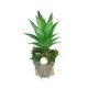 thumbnail image 1 of XWSHYW Decoraciones para El Hogar Simulación de Muñeca Sin Rostro En Maceta Suculenta Simulación de Gnomo En Maceta Decoración Decoraciones de Primavera, 1 of 2