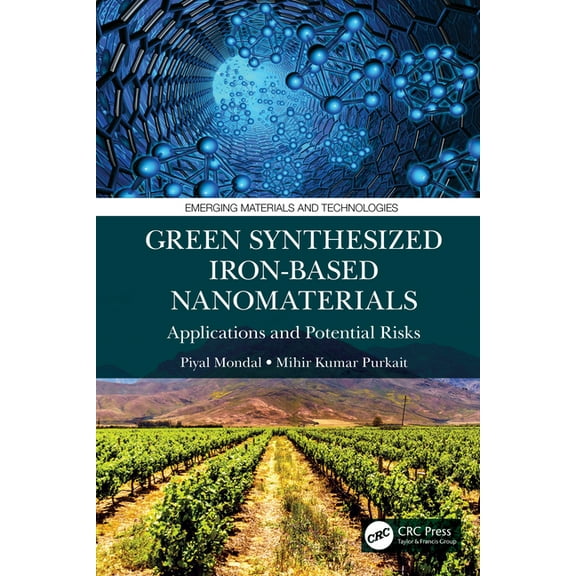Emerging Materials and Technologies Green Synthesized Iron-based Nanomaterials: Applications and Potential Risks, (Paperback)