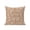 Brown, White, Cocoa, variant on Outdoor Pillows Waterproof, Botanical Rose Bud Bedding Throw Pillows with Insert for Couch Sofa Bed, Vintage Brown Floral Leaves Farmhouse 18x18 Inch Pillowcases Decorative Patio Pillow Set of 2