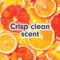thumbnail image 5 of Softsoap Crisp Clean Antibacterial Liquid Hand Soap with New Easy Pour Spout, 50 fl oz Refill Bottle, 5 of 15