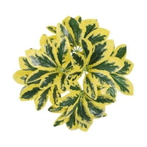 WEIWEIGG Realistic Artificial Plants for Outdoor, UV Resistant Faux Plants for Porch, Garden, Patio Decor, No Maintenance Fake Plants, Lifelike Outdoor Decor All Season​​