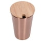 thumbnail image 4 of Taza de cerveza de acero inoxidable de 500 ml con tapa, taza de agua de una sola capa, taza para beber al aire libre para fiesta en el hogar, oro rosa, 4 of 14