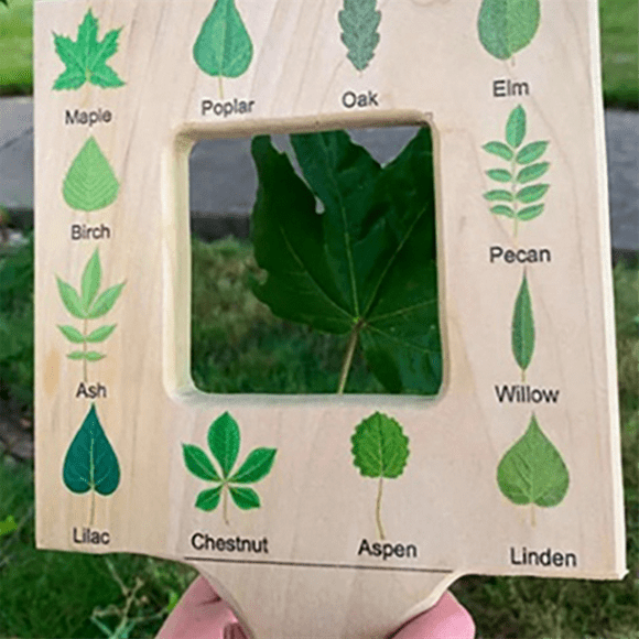 Nature Guide Finder Toddler Wooden Handheld Toy Double-Sided Board Outdoor Plant Children-D