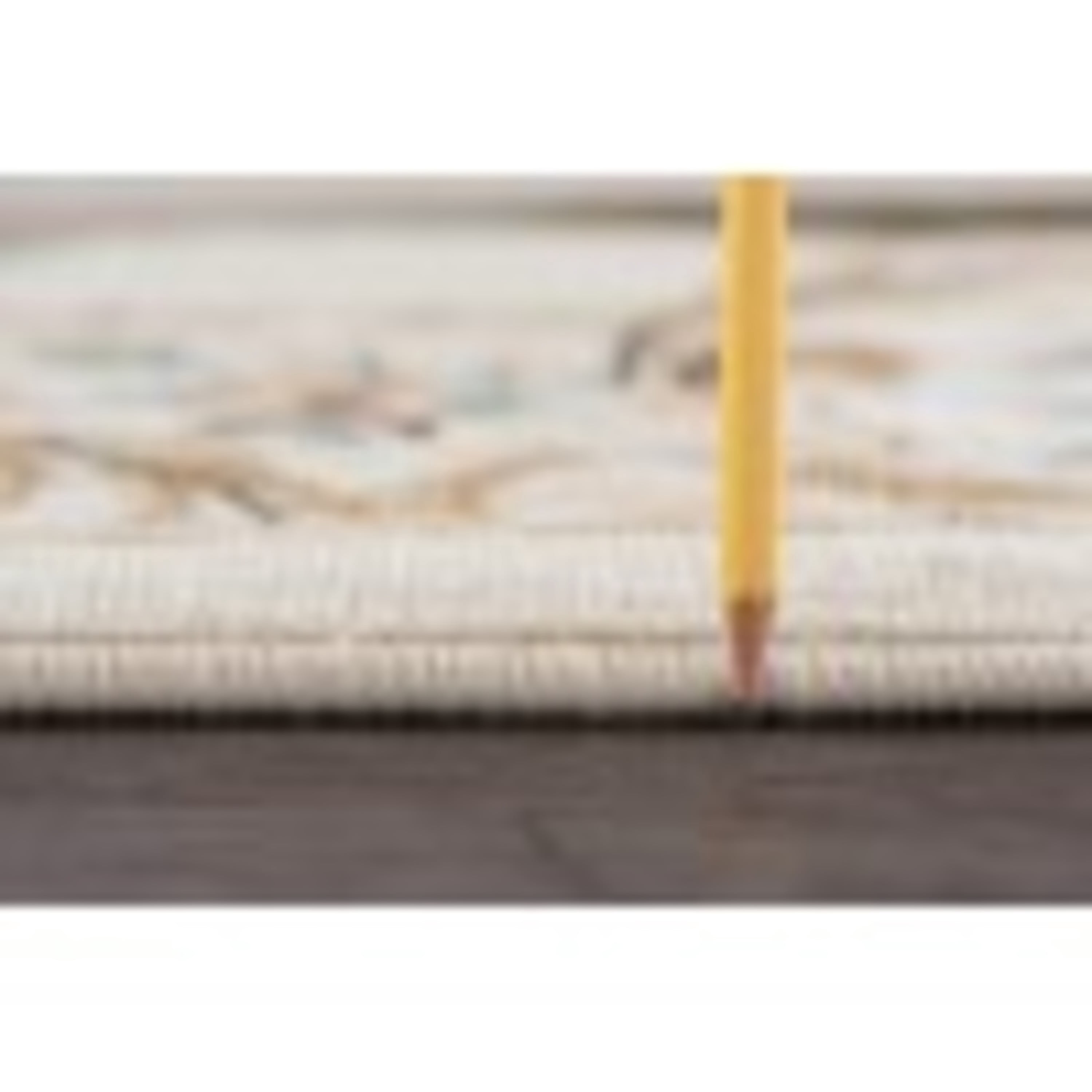 Traditional Area Rug (3-Piece Rug Set: (5' x 7', 20'' x 60'', 20'' x 32'')) Floral Beige, Red Indoor Set Easy to Clean