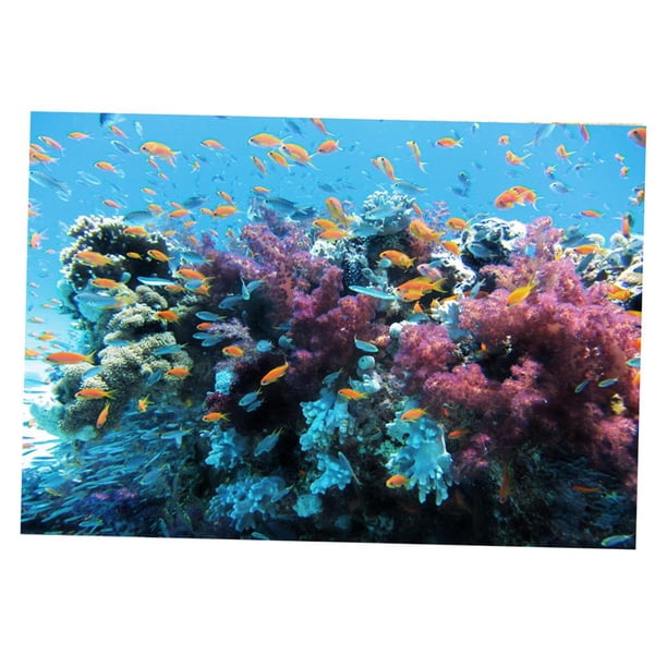 3D Acuario Paisaje Póster Pecera Vivarium Fondo Sea S Yuyangstore Imagen del fondo del tanque de pescados