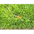 thumbnail image 6 of Quick Snap B5P Buried Sprinkler - Pack of 5, 6 of 9