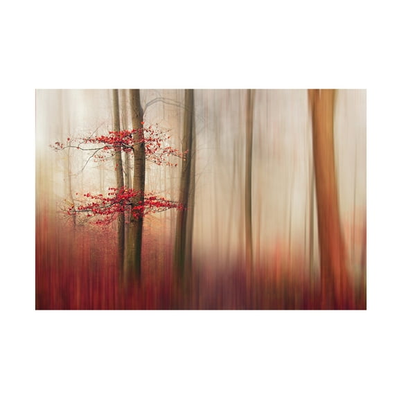 Leif L�ndal 'Red Leaves' Canvas Art