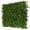 Wintergreen, variant on 3rd Street Inn Wintergreen Leaf Trellis - Boxwood and Ivy Privacy Fence Substitute - DIY Flexible Fencing  4-Pack