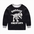 thumbnail image 4 of NOLDARES Toddler Boy Outfits Clothing Set 2 Piece Long Sleeve Crewneck Sweatshirt and Elastic Pants Fall Winter Clothes(Black,8-9 Y), 4 of 6