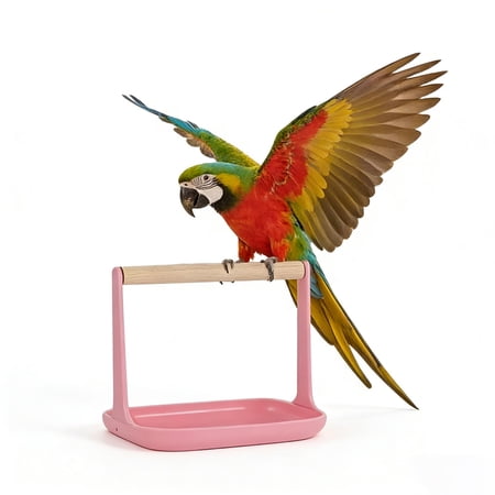 Bird Training Stand, Portable Tabletop Parrot Perch with Removable Tray, Bird Perch Stand for Small to Medium Parrots, Cockatiels, Parakeets, Lovebirds