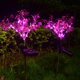 thumbnail image 3 of Luces solares de estaca para jardín al aire libre, luces decorativas impermeables en forma de Phalaenopsis para jardín, Patio, patio trasero Aespa kaili Sencillez, 3 of 4