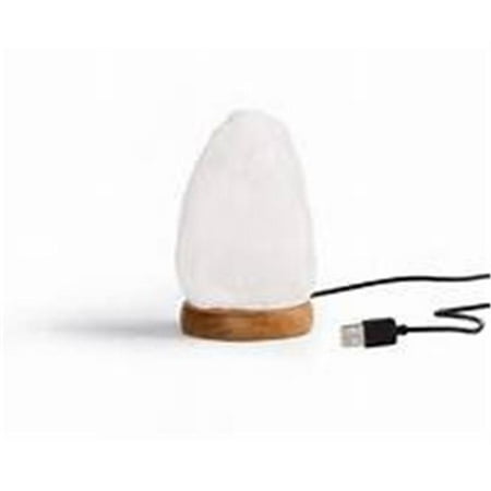 Ea Super Leds - Nat. White USB Salt Lamp w-Color LED 1 EA -