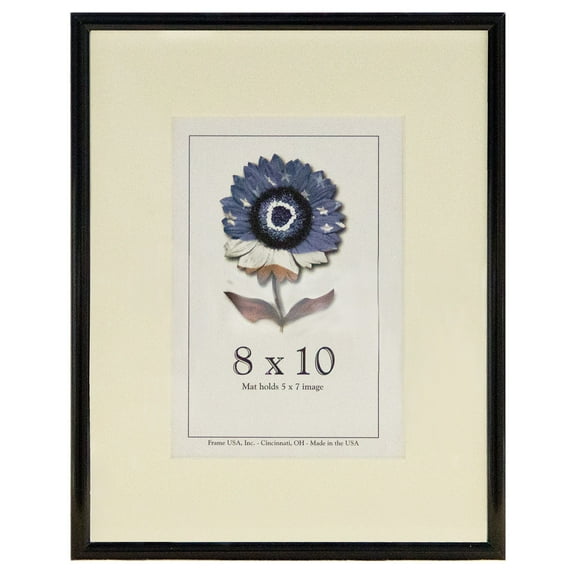 Frame USA 8 in x 10 in Aluminum/Glass Picture Frames, Black