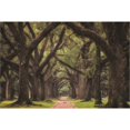 thumbnail image 2 of Great Art Now Lane of Oaks by Martin Podt, Canvas Wall Art, 45W x 30H, 2 of 2