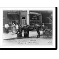 thumbnail image 2 of Historic Framed Print, [Bide-A-Wee Home for Animals, New York, N.Y.: horse drinking from trough], 17-7/8" x 21-7/8", 2 of 9