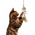 thumbnail image 3 of Juguete para gatos de primera calidad | caña de juguete resistente natural con ratón | Juego de 3 animales de peluche para la actividad del gato | juguete para rascar, 3 of 6