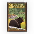 thumbnail image 3 of Bear in Forest, Sequoia National Forest, CA (16x24 Giclee Gallery Art Print, Vivid Textured Wall Decor), 3 of 3