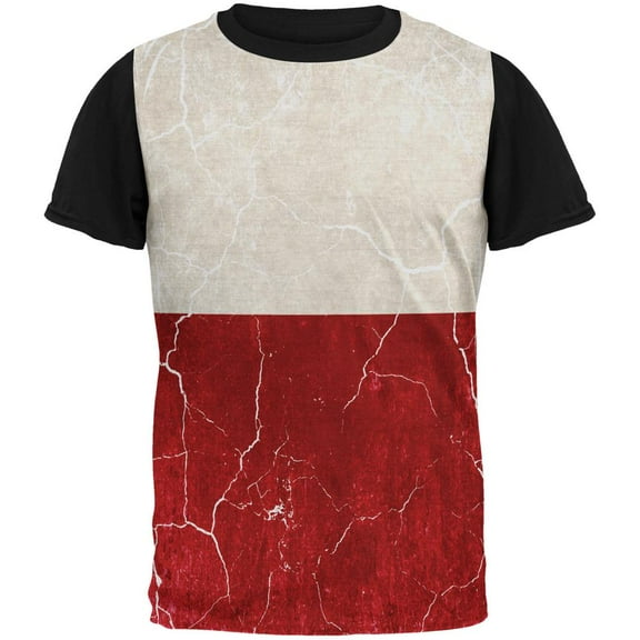 Distressed Grunge Polish Flag All Over Mens Black Back T Shirt Multi X-LG
