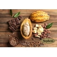 thumbnail image 3 of Stephen's Gourmet Milk Chocolate Marshmallow Hot Cocoa, 14 oz, 3 of 7