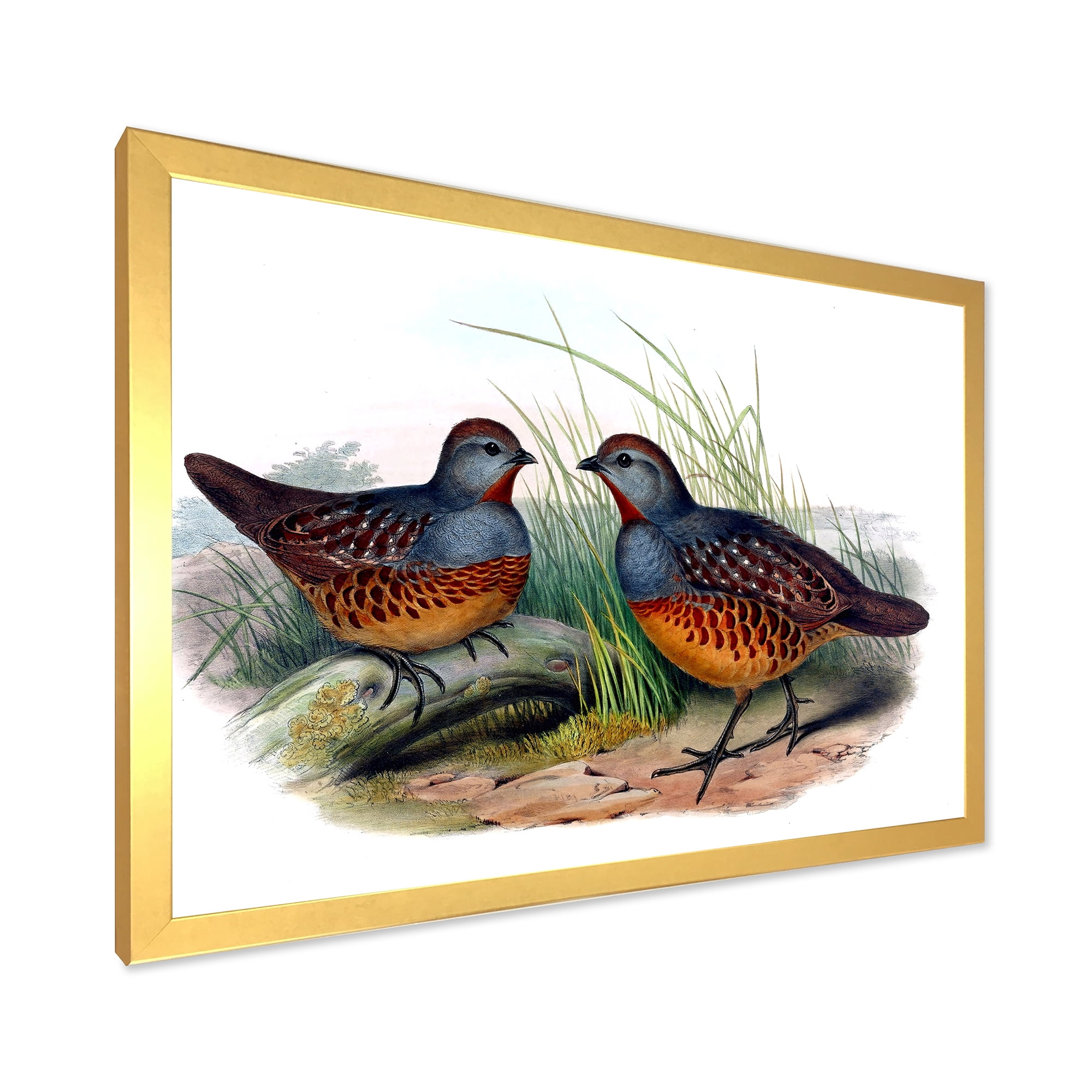 Designart 'Ancient Birds In The Wild VII' Traditional Framed Art Print