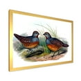 thumbnail image 2 of Designart 'Ancient Birds In The Wild VII' Traditional Framed Art Print, 2 of 4