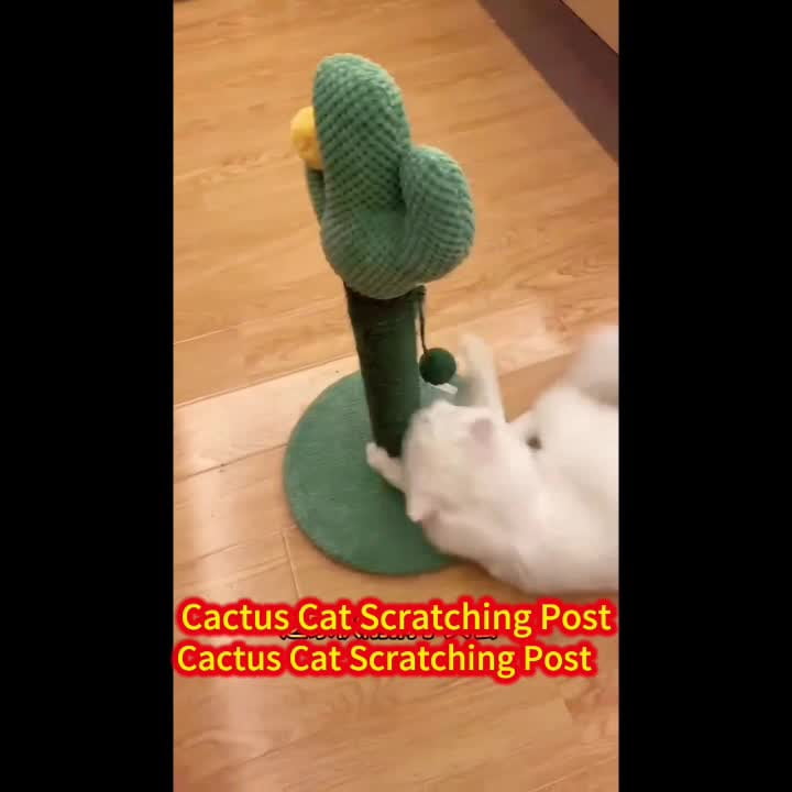 24.4" Cactus-Shaped Cat Scratching Post with Natural Sisal and Hanging Ball Toy – Indoor Cats & Kittens