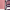Pink Stripe/Rib, variant on No Boundaries Fashion Scallop Edge Mid-Crew Socks, 6-Pack, Women's