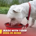 thumbnail image 4 of Emergency Zone - Dog Travel Kit - Small Dog Survival Kit - For Vacations or Disasters, 4 of 6