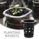thumbnail image 3 of unbranded 100Ud Macetas De Plástico Para Hidroponía Con De Malla Para Plantas Y, 3 of 6