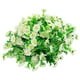 thumbnail image 1 of Guirnalda de Luces de Ratán con Flores Artificiales | Lámpara de Cobre con Hojas y Flores Artificiales | Luz Led Decorativa Flexible de Color Blanco Cálido | Adorno para Bodas, Fiestas, Hogar y Tiend, 1 of 1