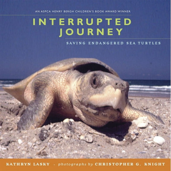 Interrupted Journey: Saving Endangered Sea Turtles, (Paperback)