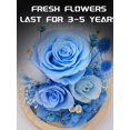 thumbnail image 2 of Rosa preservada FIACO Forever Fresh Flowers en cúpula de cristal, 2 of 6