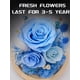 thumbnail image 2 of Rosa preservada FIACO Forever Fresh Flowers en cúpula de cristal, 2 of 6