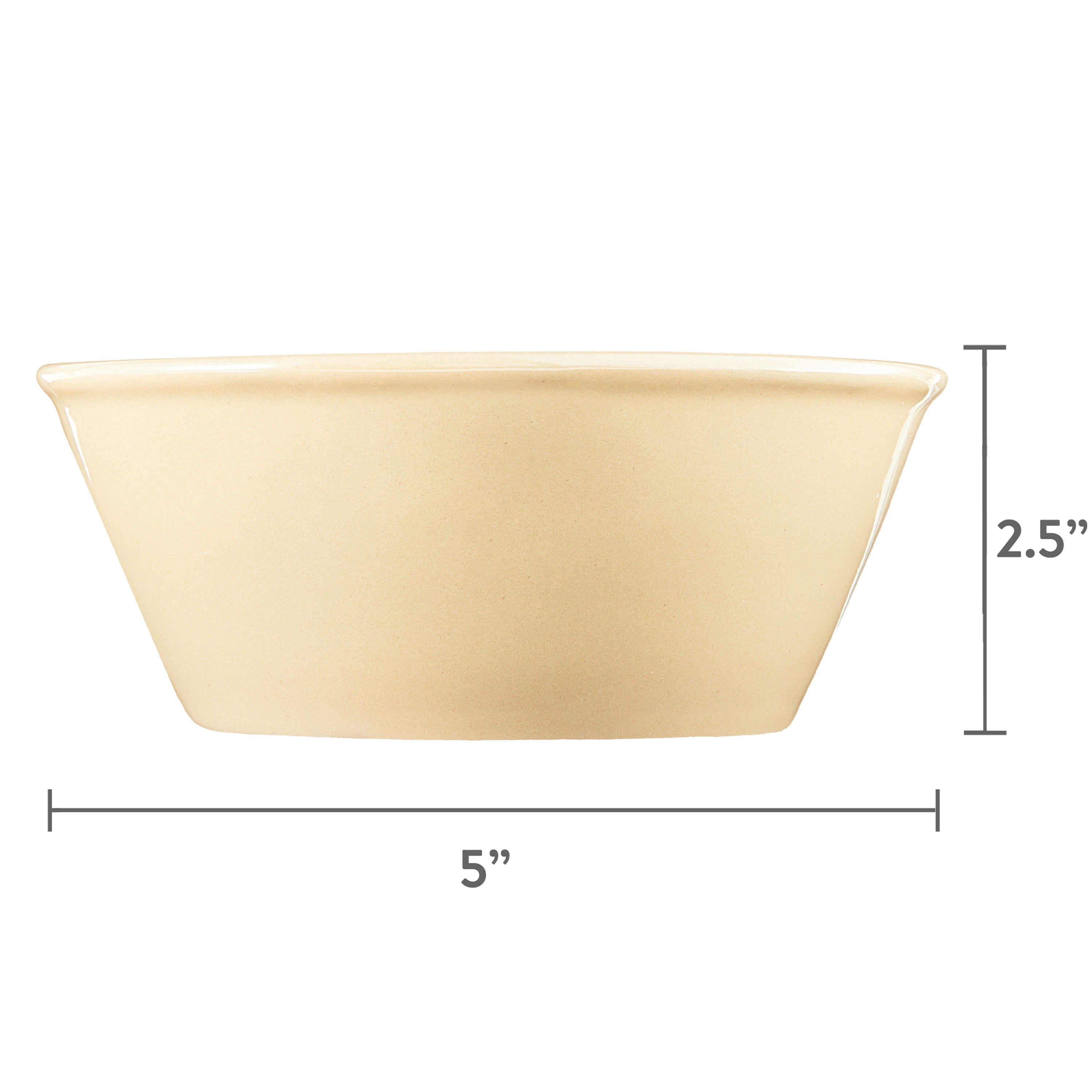 Vibrant Life Basic Ceramic Dog Bowl, x-Small