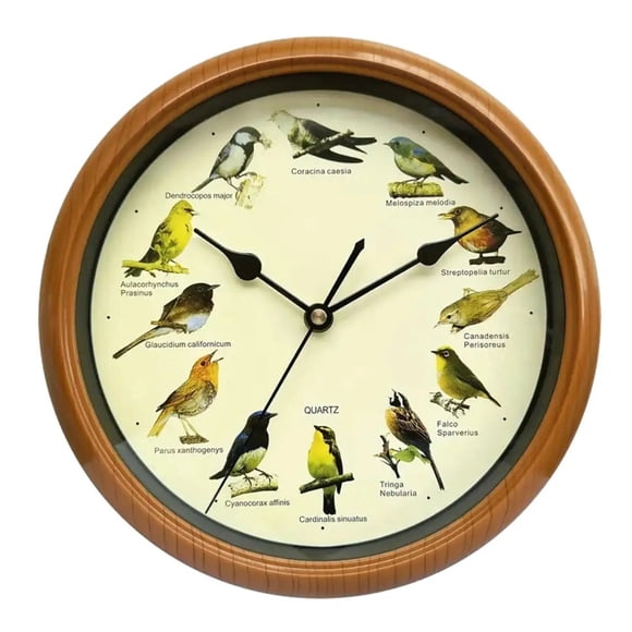 Singing Bird Wall Clock Bird Clock with Sound for Living Room Office Home