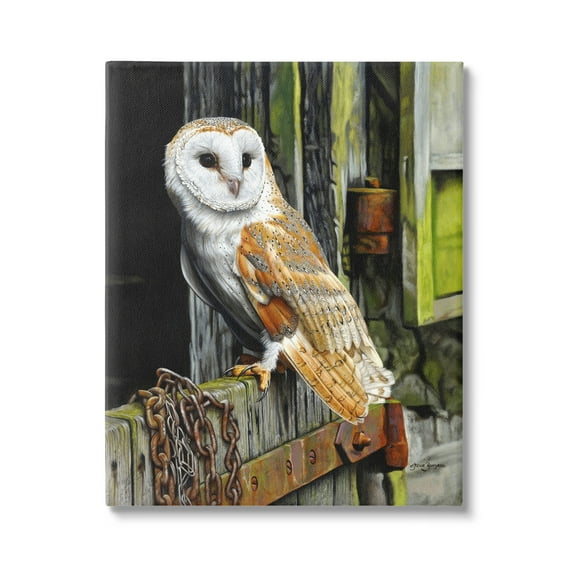 Stupell Industries Owl Perched on Barn Door Animals & Insects Painting Gallery Wrapped Canvas Print Wall Art, 30 x 40
