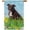 cute pitbull, variant on Hello Spring Floral with Dog Dalmatian Dog Garden Flag Summer Flower Home Decor Yard Banner for Outside 28 x 40 Inch Double Side