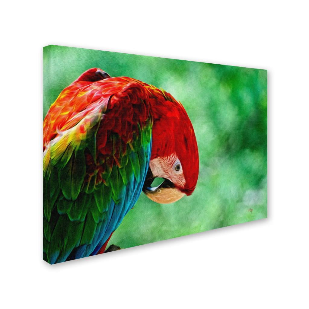 Trademark Fine Art "Colorful Macaw" Canvas Art by Lois Bryan