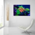 thumbnail image 6 of Epic Art 'Underwater Amazons' by Epic Portfolio Acrylic Glass Wall Art, 36"x24", 6 of 8