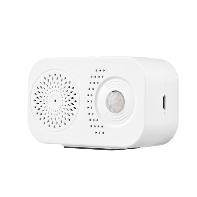 Inducción inducciónecorio de Voz Bienvenido Saludo Promópter VOZ de VOZ Establecimento de Sonido Grabador de audio Mp3 Anti-theft