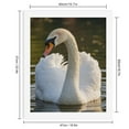 thumbnail image 2 of Paint By Numbers Kit for Adults Beginner - DIY Graceful White Swan Lake Scene Canvas Painting Kits for Adults, Frameless Paint By Number for Adults for Home Wall Decor 16x20 Inch, 2 of 7